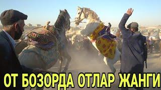 ЧИРОҚЧИ БОЗОРИДА ОТЛАР УРИШИ