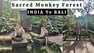 Sacred Monkey Forest Sanctuary in Ubud, Bali | India to Bali | Bali Travel Guide