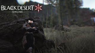 BDO Succession Ninja Movement