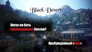 Black Desert Пробужденный Бхег