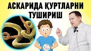 Аскарида уй шароитида давоси / ОҚ ИЧАК ҚУРТИ ГИЖЖАНИ БИР ТУРИ