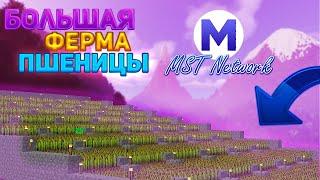 MST Network. Большая ферма!