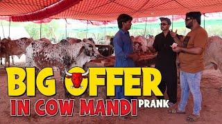 | Big Offer In Cow Mandi | By Nadir Ali & Ahmed Khan in | P4 Pakao | 2021