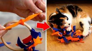 Easy To Make DIY Cat Toys Your Pet Will Love!