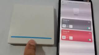 Tuya Zigbee scene switch is used in conjunction with the WiFi switch