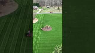 Satisfying Lawn Stripes!  #satysfying #shorts #youtubeshorts #lawncare