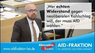 „Wer echten Widerstand gegen neoliberalen Kahlschlag will, der muss AfD wählen.“