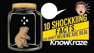10 Mind Blowing Facts You Won't Believe!