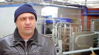 Робот-дояр® VMS™ DeLaval на ферме Терезино