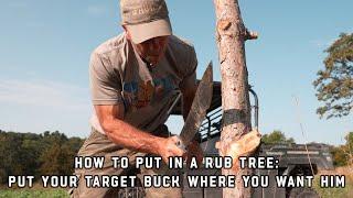 How To Put In A Rub Tree: Put Your Target Buck Where You Want Him