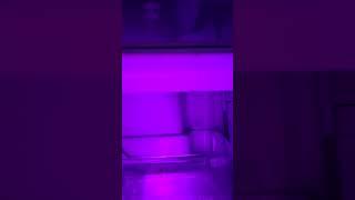 Cool