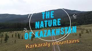 4K video. The nature of Kazakhstan. Karkaraly mountains. Қазақстан табиғаты. Қарқаралы таулары.