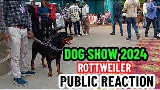 Dog Show 2024 || Bilaspur Dog Show 2024 || Biggest Dog Show || Public Reaction