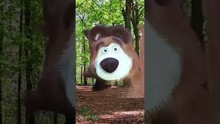 bear efeects