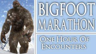 Bigfoot Ultra Marathon #9 - One Hour of Bigfoot Encounters