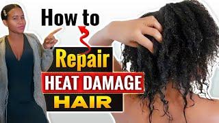 HOW TO REPAIR HEAT DAMAGED HAIR AT HOME | STEP BY STEP GUIDE + PRODUCTS TO USE