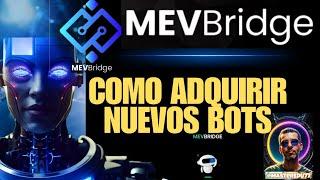 Mevbridge México e Hispanoamerica Como Comprar los nuevos bots!