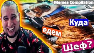 РЕАКЦИЯ МАНУРИН СМОТРИТ MEMES COMPILATION - WATCH THE MANYRIN ПРИКОЛЫ #реакция #reaction