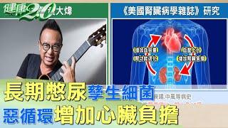 長期憋尿孳生細菌爬上腎臟 惡循環增加心臟負擔 健康2.0