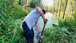 This is the beaver dam. A new lake was formed, the whole forest was destroyed. part 1