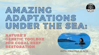 Amazing Adaptations Under The Sea  with Kristina Black | Science Under the Stars