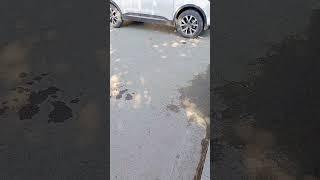 Ам жалау ️ аямай сікті