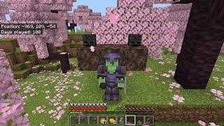 Survival Series The final boss The WITHER