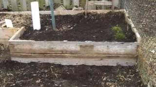 Planning and Building a Raised Bed Garden II