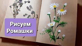 Как нарисовать гуашью Ромашки. Для начинающих