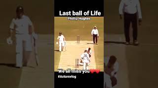 Last ball we all miss you Phillip Hughes ️ #actorsvlog #ytshorts #short