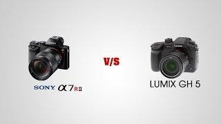 Sony Alpha 7RIII vs Panassonic Lumix GH5