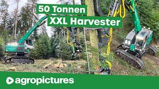 Holzernte XXL – Größter Harvester der Welt | IMPEX Hannibal T50 bei Vieghofer Holz | Forst Doku