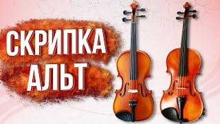 СКРИПКА И АЛЬТ / ОТЛИЧИЯ / СРАВНЕНИЕ