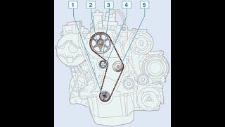 Замена ремня ГРМ на Рено Логан 1.4