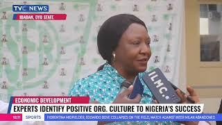 Experts Identify Positive Organisation Culture To Nigeria's Success