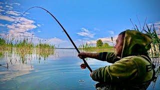 Вудки тріщать по швам від РИЖИХ ВЕЛЕТНІВ!!!