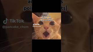 #funnyvideo #funnyshorts #relatable #fypシ゚viral #fyp