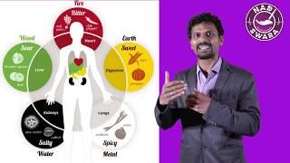 NADISWARA | Pulse Diagnosis Report Interpretation | Spleen QI Deficiency