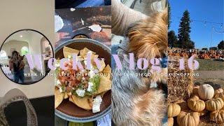 Week in the Life in San diego | SD Happy Hours | Pumpkin Patches | Vlog #16 of 2024