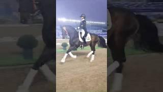  𝗛𝗜𝗦𝗧𝗢𝗥𝗬 𝗖𝗥𝗘𝗔𝗧𝗘𝗗! 19th Asian Games #Equestrian #AsianGames2022