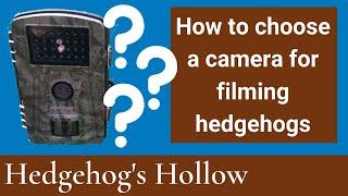  How to choose the right camera for filming hedgehogs in your garden | Hedgehog's Hollow