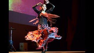 Flamenco silvetta ataulina