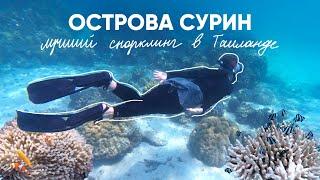 Острова Сурин с Пхукета. Лучший снорклинг в Таиланде. Деревня Мокенов