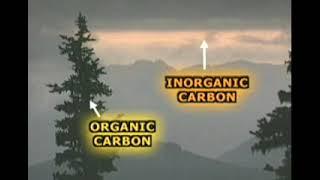 organic and inorganic carbon