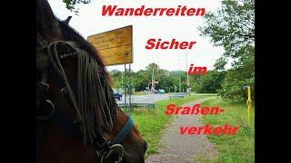 Wanderreiten Ausbildung -  Sicher Reiten im Strassenverkehr | Pferde Verkehrssicherheit trainieren