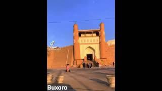 Buxoroyi sharif pirlar yurti #buxoro #uzbekistan