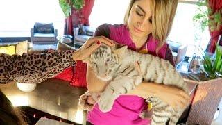 Lana's New Pet Tiger !!!