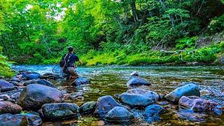 THE MOST BEAUTIFUL STREAM I HAVE EVER FISHED...WITH BIG FISH!!