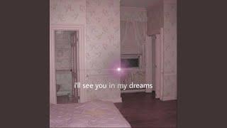 i'll see you in my dreams