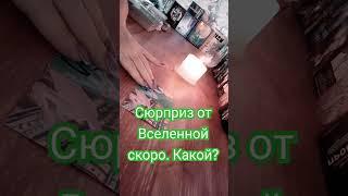 Какие сюрпризы даст Вселенная совсем скоро? #таро#тароонлайн#тарошортс#ютубтаро #раскладтароshorts